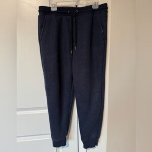 Men's Large Navy Sherpa Lined Jogger Pants